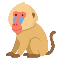 baboons