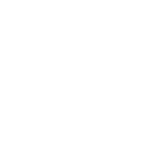 Dominus Esports