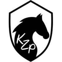 KZ PLAYERS