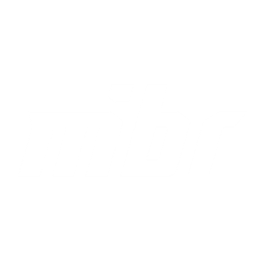 MIBR Academy