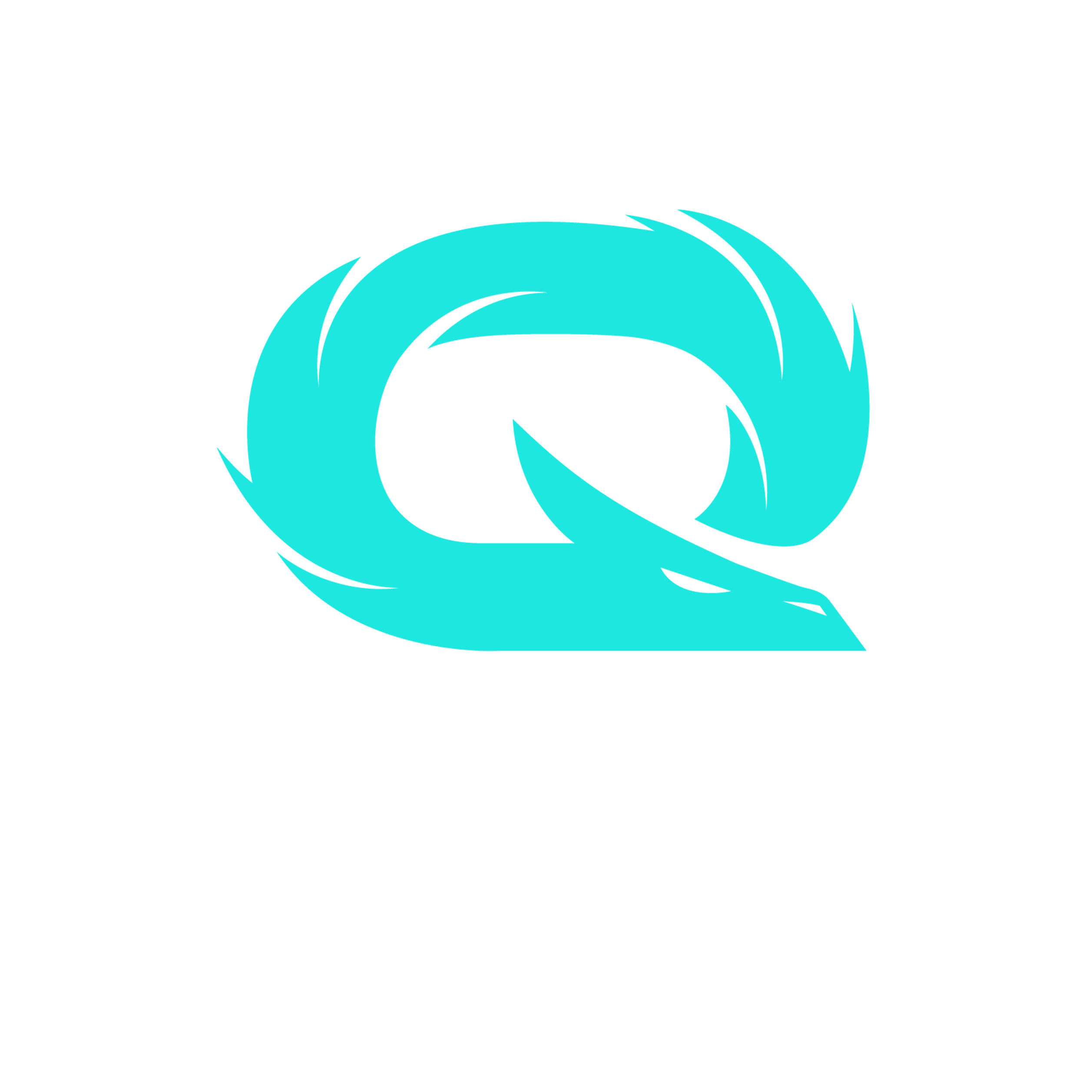 QLASH