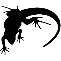 Relaxed Reptilians