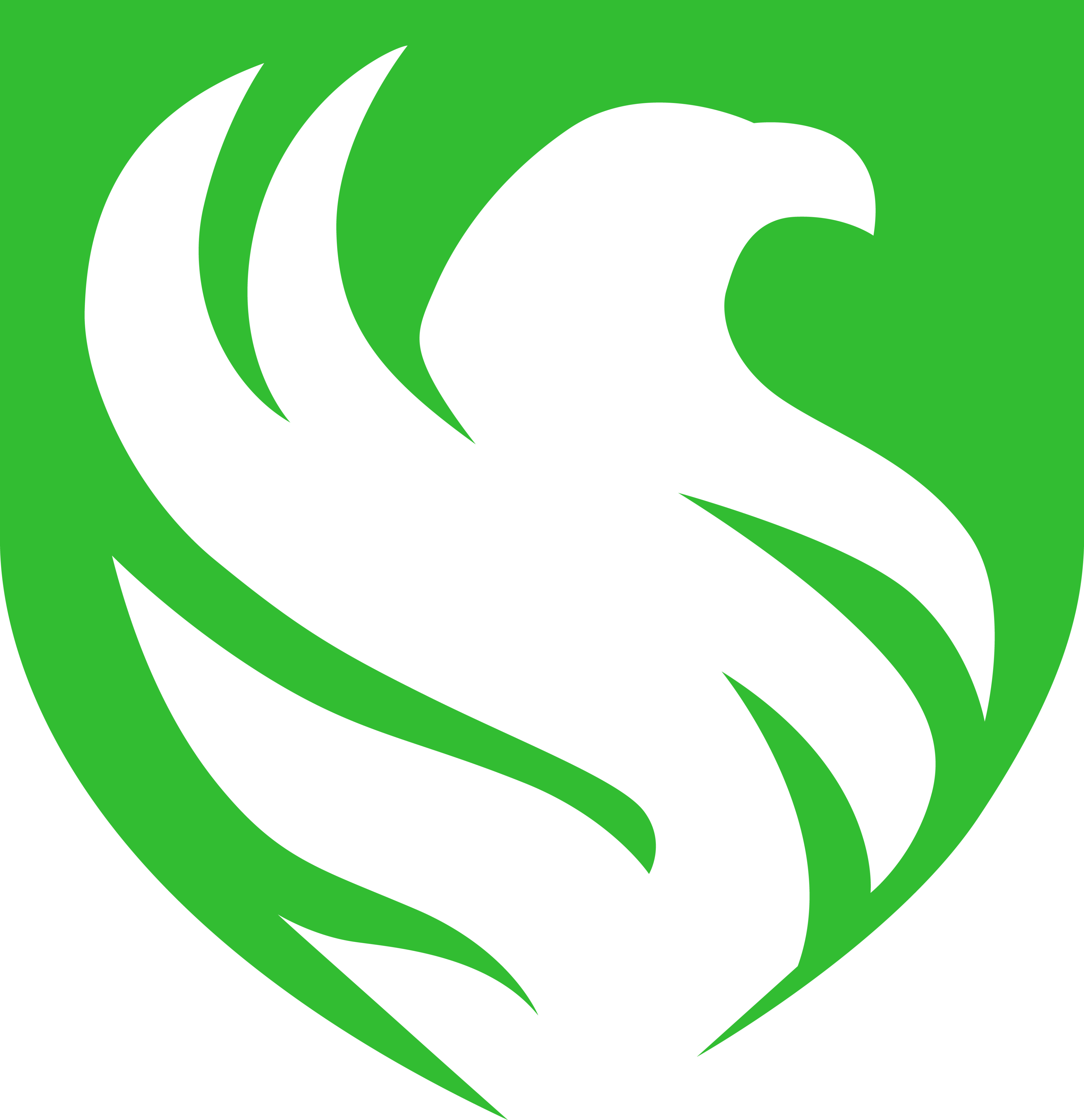 Team Falcons