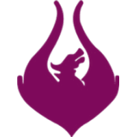 Team Phoenix Female