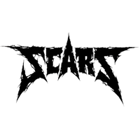 Team SCARS