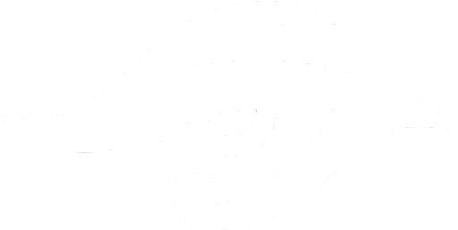 Team Secret Academy Academy
