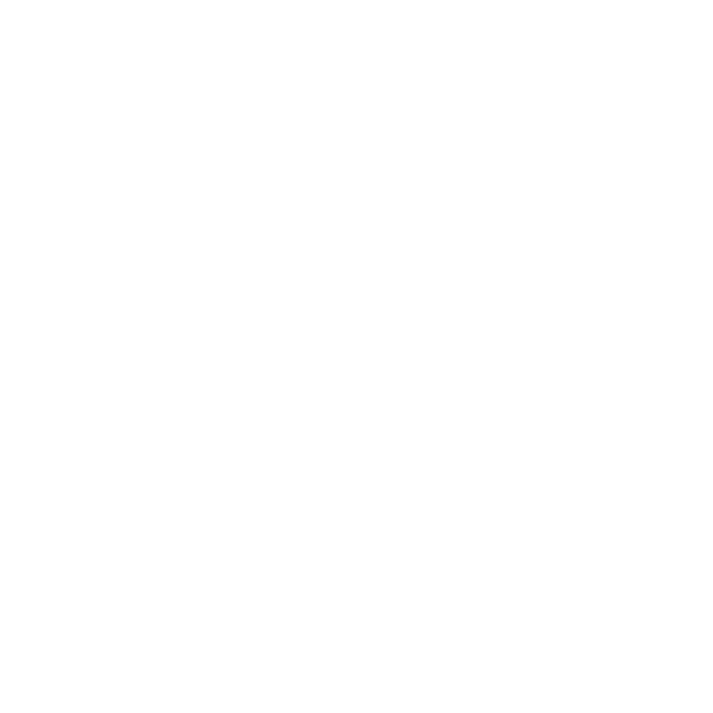 Team Solid